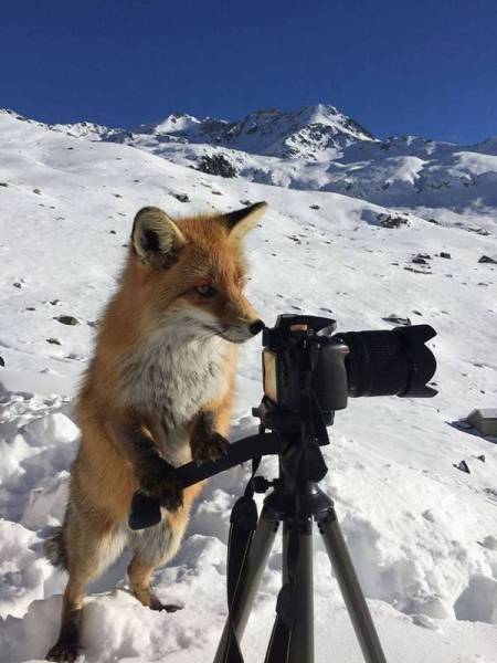 Daily Picdump [WEEKEND EDITION]