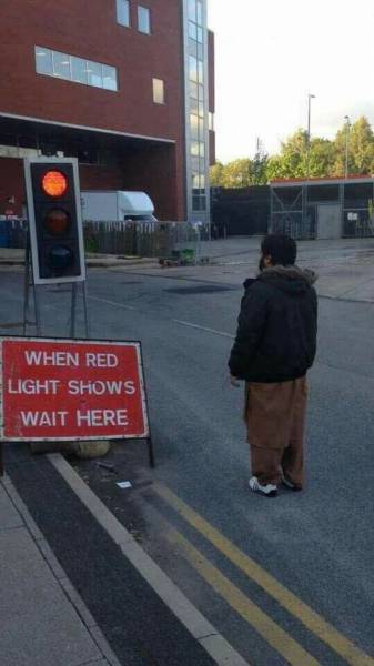 Daily Picdump [WEEKEND EDITION]