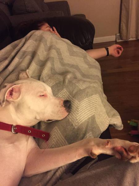 Daily Picdump [WEEKEND EDITION]