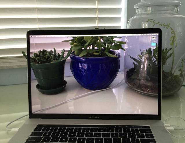 Daily Picdump [WEEKEND EDITION]