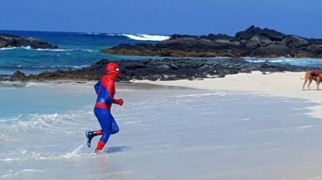 Daily Picdump [WEEKEND EDITION]