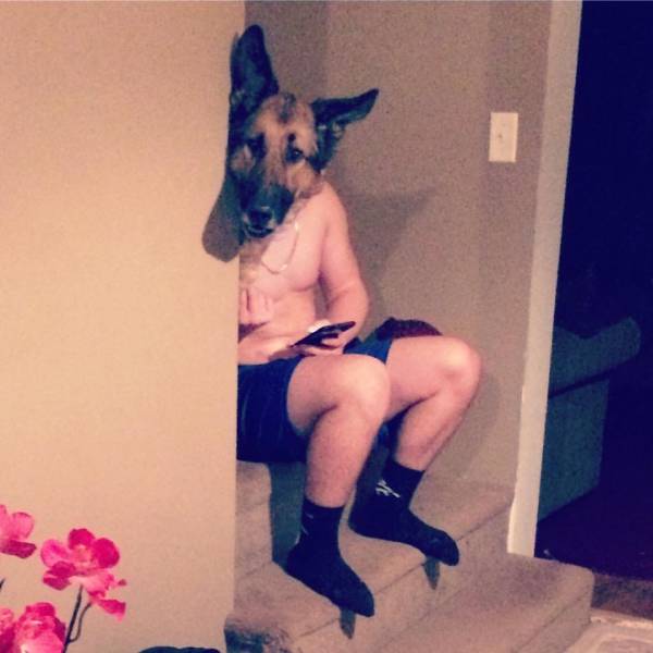 daily picdump weekend edition 81 pics 2.html - 81 HD Photos | Premium Gallery 2017