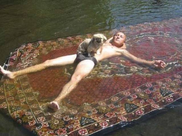 daily picdump weekend edition 81 pics 2.html - 81 HD Photos | Premium Gallery 2017