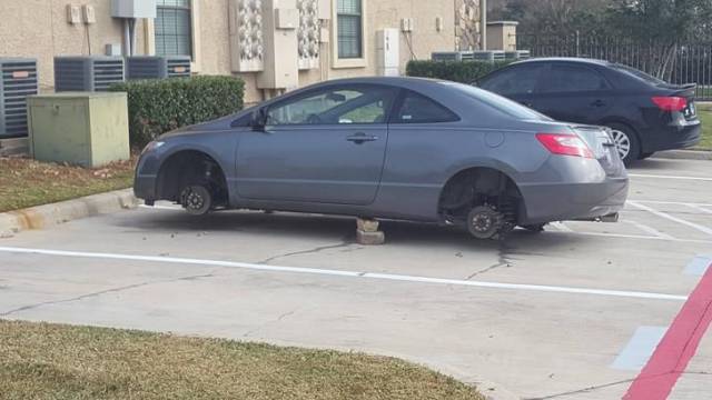 daily picdump weekend edition 81 pics 2.html - 81 HD Photos | Premium Gallery 2017