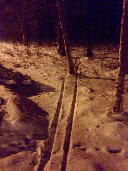 daily picdump weekend edition 81 pics 2.html - 81 HD Photos | Premium Gallery 2017