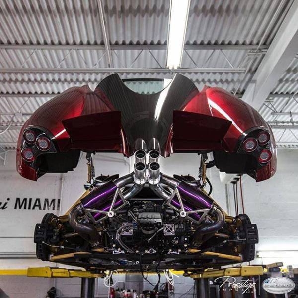 daily picdump weekend edition 81 pics 2.html - 81 HD Photos | Premium Gallery 2017