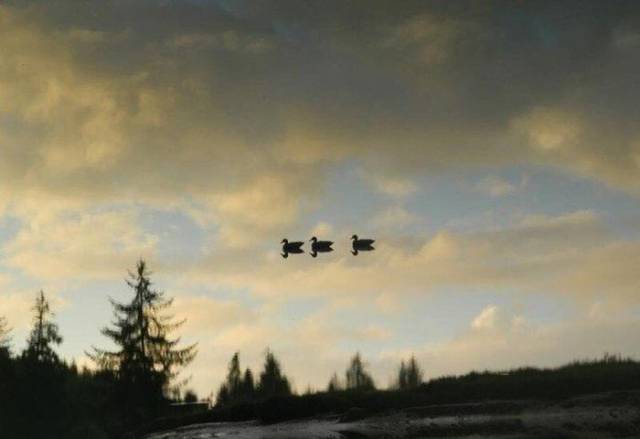 morning picdump 57 pics 21.html - 57 HD Photos | Premium Gallery 2017