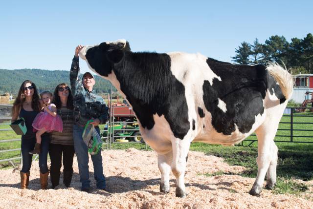 morning picdump 57 pics 21.html - 57 HD Photos | Premium Gallery 2017