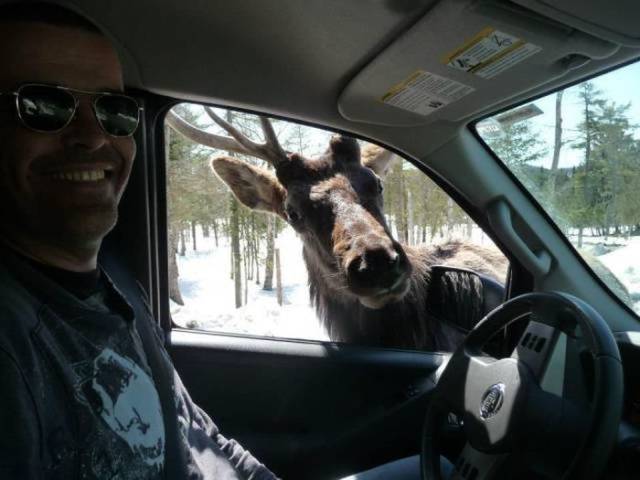 morning picdump 57 pics 21.html - 57 HD Photos | Premium Gallery 2017