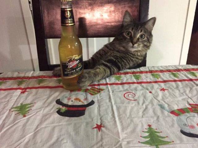 morning picdump 57 pics 21.html - 57 HD Photos | Premium Gallery 2017