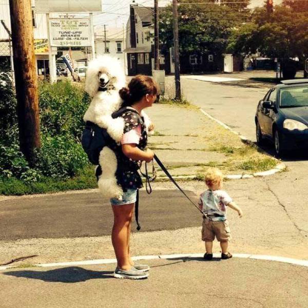 Pictures That Will Make You Cringe