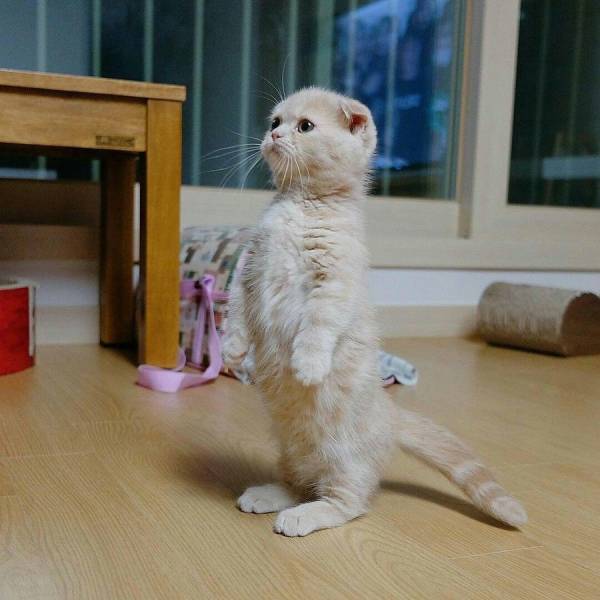 daily picdump 106 pics 9.html - 106 HD Photos | Premium Gallery 2017