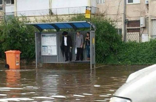 daily picdump 106 pics 9.html - 106 HD Photos | Premium Gallery 2017