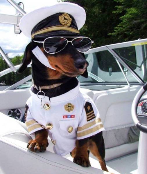 daily picdump 106 pics 9.html - 106 HD Photos | Premium Gallery 2017