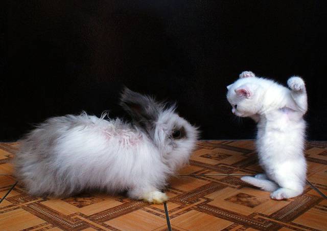 daily picdump 106 pics 9.html - 106 HD Photos | Premium Gallery 2017