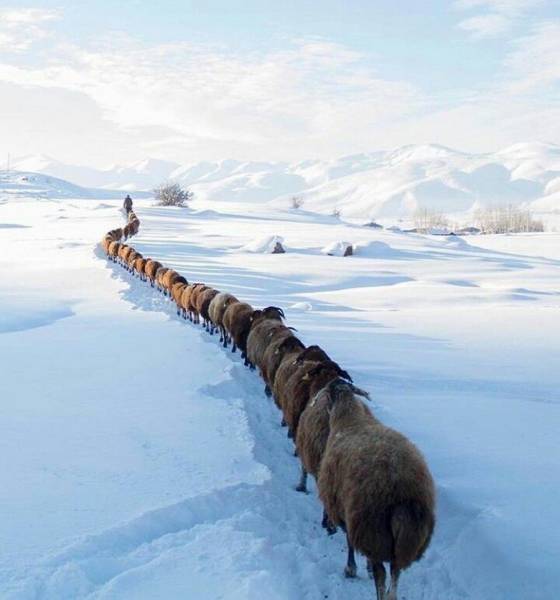 daily picdump 106 pics 9.html - 106 HD Photos | Premium Gallery 2017