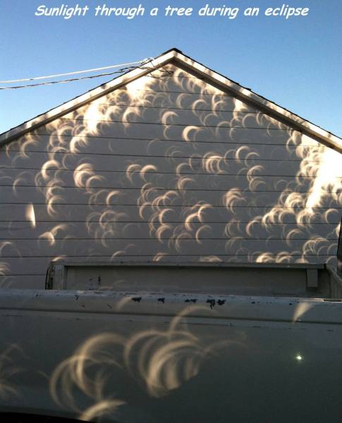 daily picdump 94 pics 9.html - 94 HD Photos | Premium Gallery 2017