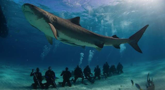 daily picdump 94 pics 9.html - 94 HD Photos | Premium Gallery 2017