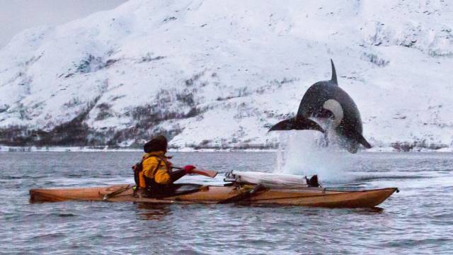 daily picdump 94 pics 9.html - 94 HD Photos | Premium Gallery 2017