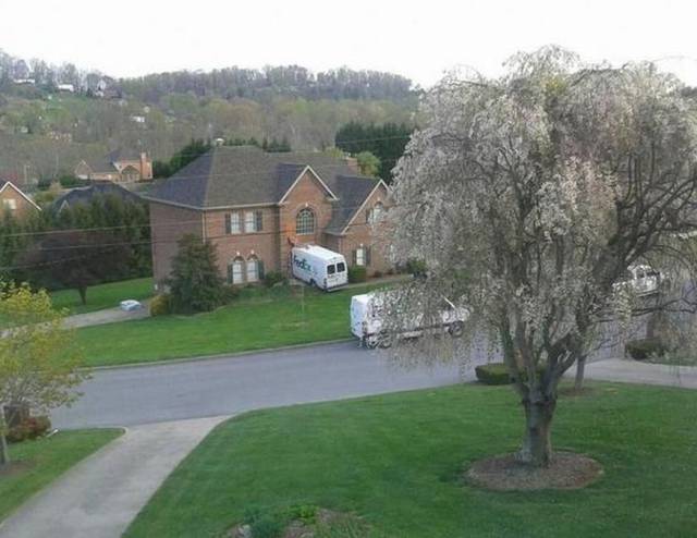 daily picdump 94 pics 9.html - 94 HD Photos | Premium Gallery 2017