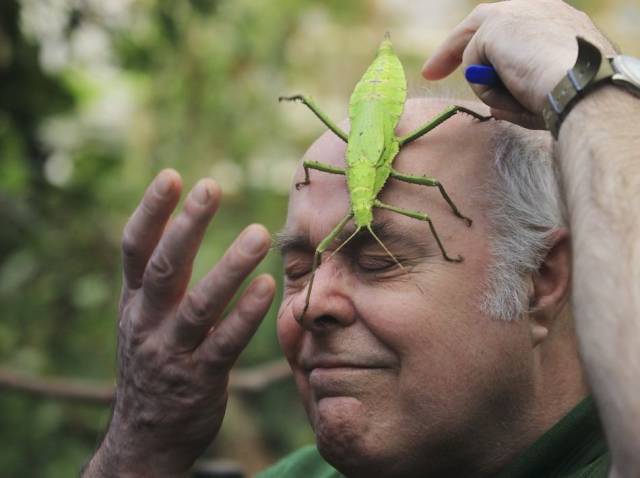 daily picdump 94 pics 9.html - 94 HD Photos | Premium Gallery 2017