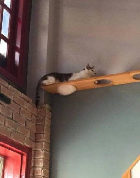 morning picdump 50 pics 22.html - 50 HD Photos | Premium Gallery 2017