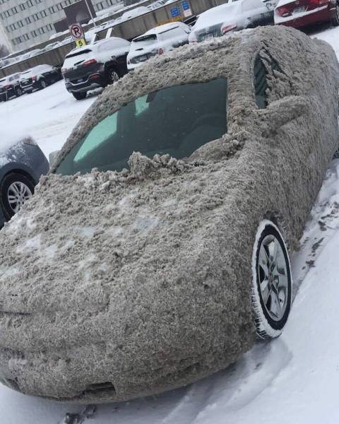 morning picdump 50 pics 22.html - 50 HD Photos | Premium Gallery 2017