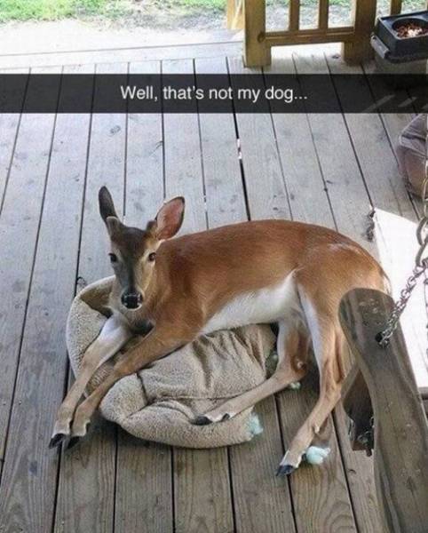 daily picdump 94 pics 34.html - 94 HD Photos | Premium Gallery 2017