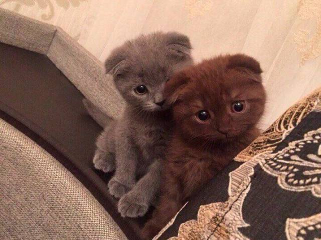 daily picdump 94 pics 34.html - 94 HD Photos | Premium Gallery 2017