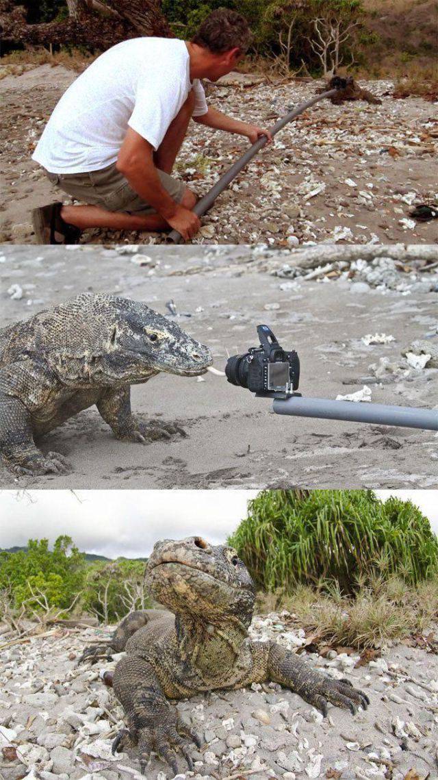 daily picdump 94 pics 34.html - 94 HD Photos | Premium Gallery 2017