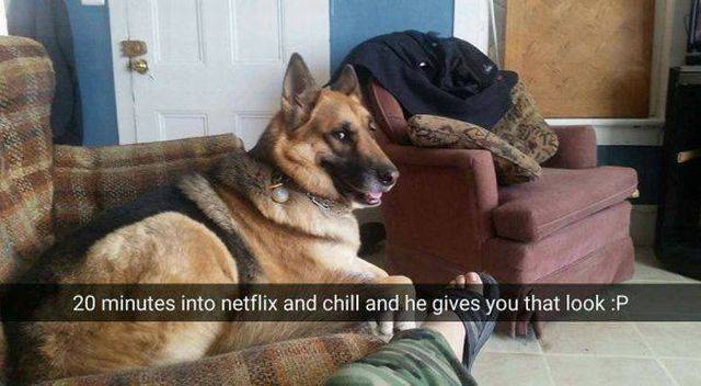 daily picdump 102 pics 9.html - 102 HD Photos | Premium Gallery 2017