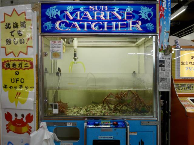 daily picdump 102 pics 9.html - 102 HD Photos | Premium Gallery 2017