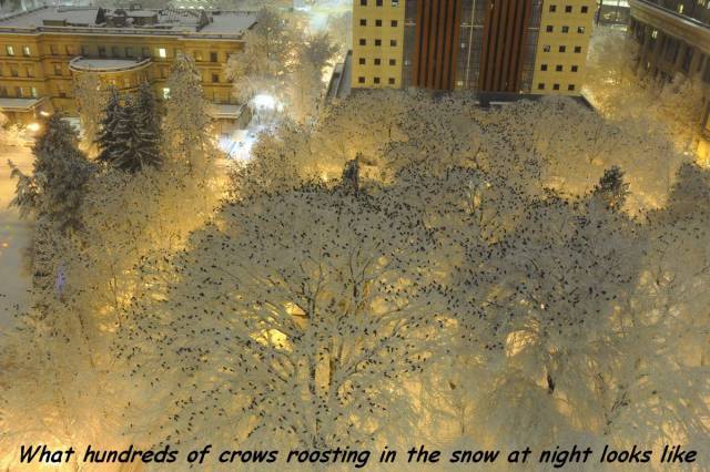 daily picdump 102 pics 9.html - 102 HD Photos | Premium Gallery 2017