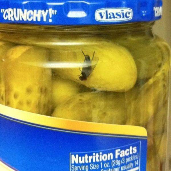 daily picdump 102 pics 9.html - 102 HD Photos | Premium Gallery 2017