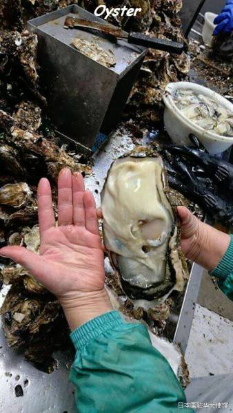 daily picdump 102 pics 9.html - 102 HD Photos | Premium Gallery 2017