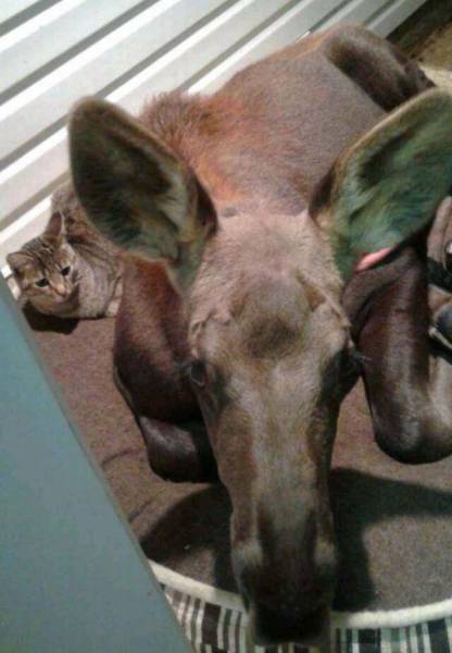 daily picdump 102 pics 9.html - 102 HD Photos | Premium Gallery 2017