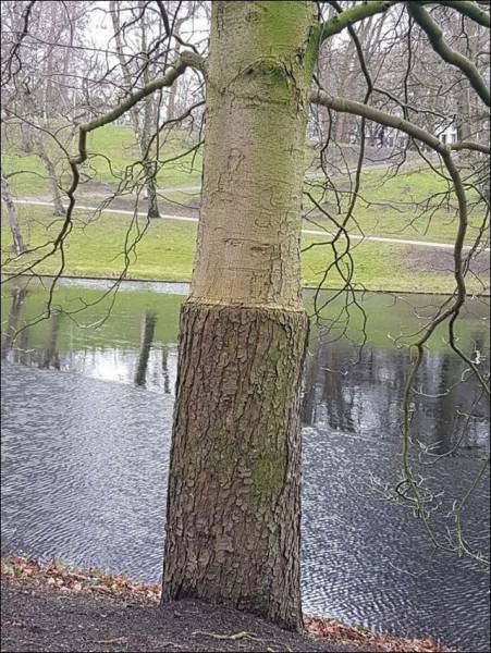 daily picdump 102 pics 9.html - 102 HD Photos | Premium Gallery 2017