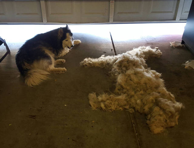 morning picdump 50 pics 3.html - 50 HD Photos | Premium Gallery 2017