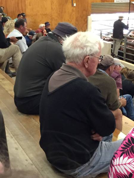 morning picdump 50 pics 3.html - 50 HD Photos | Premium Gallery 2017