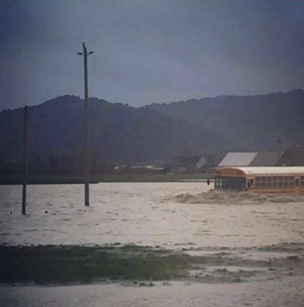 morning picdump 50 pics 3.html - 50 HD Photos | Premium Gallery 2017