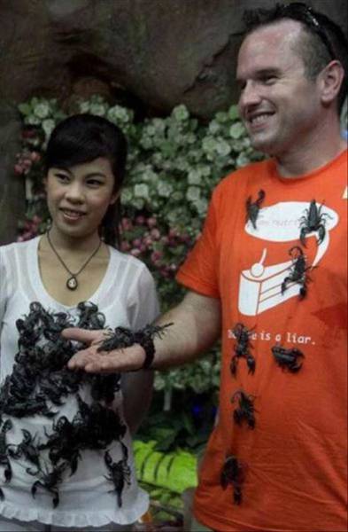 Daily Picdump [WEEKEND EDITION]