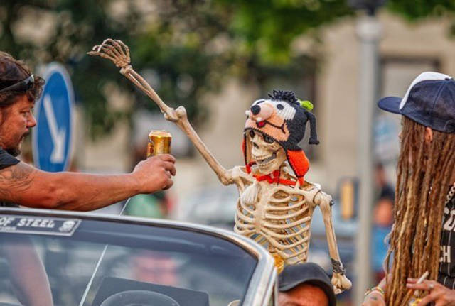 daily picdump weekend edition 52 pics 2.html - 52 HD Photos | Premium Gallery 2017