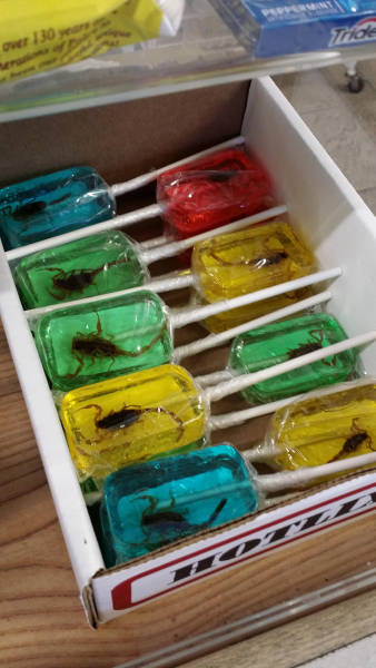 daily picdump weekend edition 52 pics 2.html - 52 HD Photos | Premium Gallery 2017