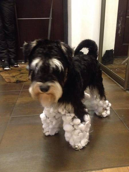 daily picdump 101 pics 33.html - 101 HD Photos | Premium Gallery 2017