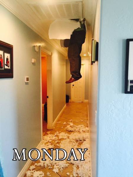 daily picdump 101 pics 33.html - 101 HD Photos | Premium Gallery 2017