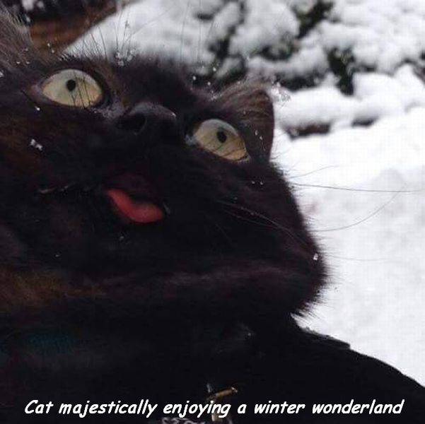 daily picdump 101 pics 33.html - 101 HD Photos | Premium Gallery 2017