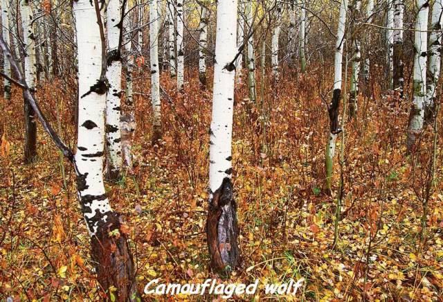 daily picdump 101 pics 33.html - 101 HD Photos | Premium Gallery 2017