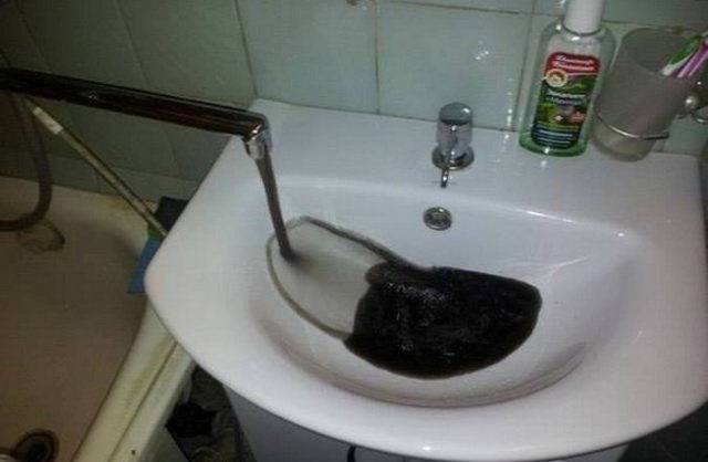 daily picdump 101 pics 33.html - 101 HD Photos | Premium Gallery 2017