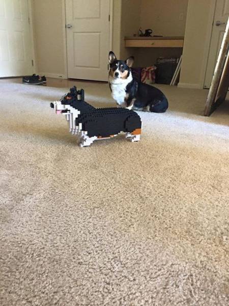 daily picdump 101 pics 33.html - 101 HD Photos | Premium Gallery 2017