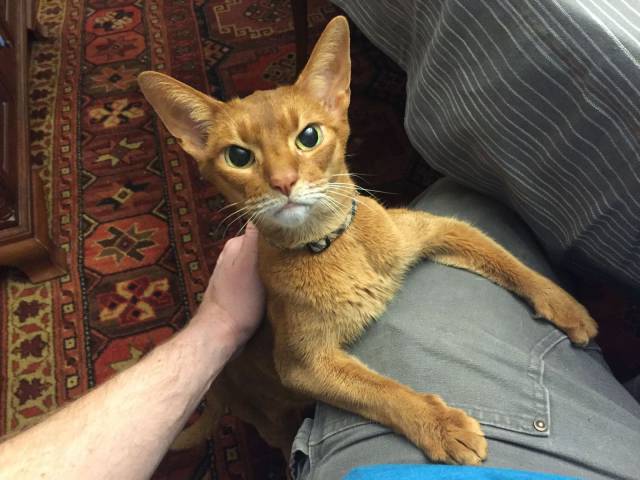 daily picdump 101 pics 33.html - 101 HD Photos | Premium Gallery 2017